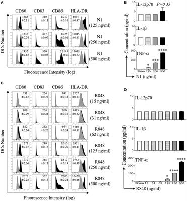 HMGN1 and R848 Synergistically Activate Dendritic Cells Using Multiple Signaling Pathways